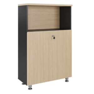 Tủ hồ sơ thấp THS007