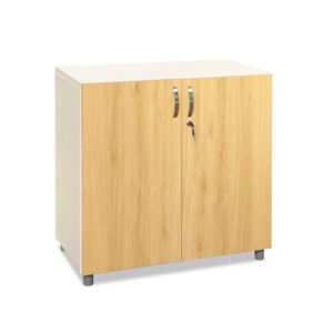 Tủ tài liệu gỗ công nghiệp TTL003