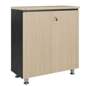 Tủ tài liệu thấp leader TTL007