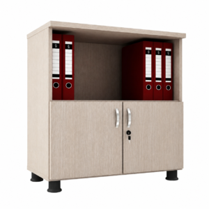 Tủ tài liệu TTL004